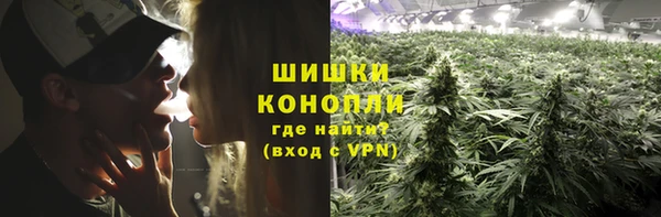 шишки Покровск