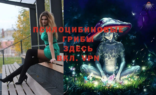 COCAINE Покачи