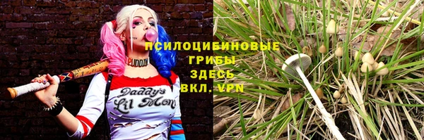 шишки Покровск