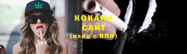 шишки Покровск