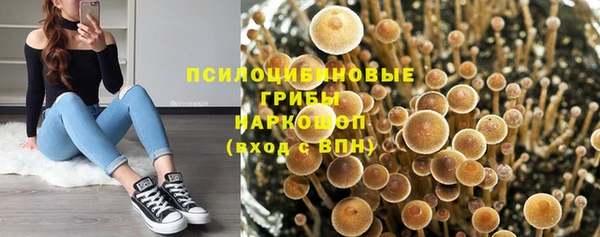 COCAINE Покачи