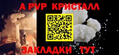 прущие грибы Гусиноозёрск