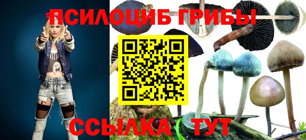 Калач-на-Дону  Псилоцибиновые грибы GOLDEN TEACHER  Вход с VPN 